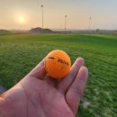 골프파라다이스 이미지