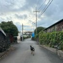 소담이네 돌집 이미지