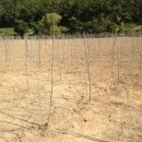 계수농장 이미지