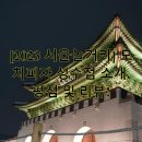 [2023 서울놀거리] 도치피자 성수점 소개, 평점 및 리뷰!