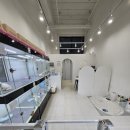 청주강아지분양 애견입양 애견미용 바른펫 이미지