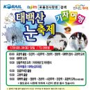 같이가요
