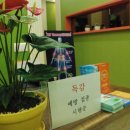 연세문상영의원