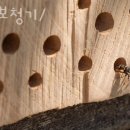 굿모닝보청기용인센터
