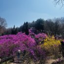 부천활박물관 이미지