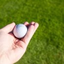 현중로36번길 이미지