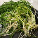 밑반찬과 손님초대 이미지