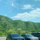 메밀촌막국수 이미지