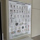 매머드익스프레스송파헬리오시티