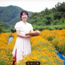 청송꽃차이야기솔채협동조합