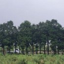 세영수산(주)