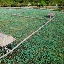 연못민박 이미지