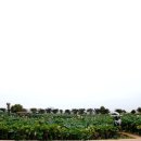 연향농장 이미지