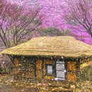 장귀자 사진전 고향정담Ⅱ 이미지