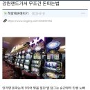 강원랜드PC 이미지