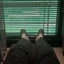 모던스탠다드의원 | [강남 피부과 추천]신논현역 10초 거리 모던스탠다드 의원 내돈내산 수염 레이저 제모 후기