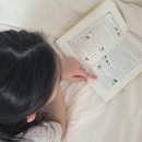 호기심 만발 과학 실험왕(초등)(수시접수) | [마감] 영재원필독서_앗, 시리즈 20주년 기념 리뉴얼판 70권 세트 Open!!