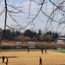 잠실 제2수영장 체육공원 파크골프장앞 | 잠실 파크골프장 예약 가이드: 코스 분석 및 주차 정보 (2026 업데이트)