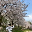 청시의지태권도 이미지