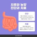 치루개 네이버블로그