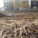 연수동사무소 이미지