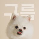 백돌스냅