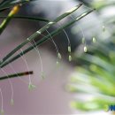 주식회사 스텝스인 이미지