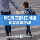 어린이 교통사고 예방 이렇게 해보자 이미지