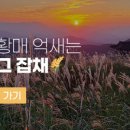 성암3 이미지