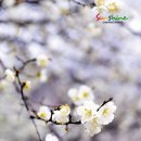 펜션빛뜨란 이미지