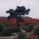 아름다운 농원