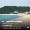 기장임랑썸머뮤직페스티벌 네이버블로그