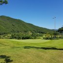 양산CC 네이버블로그