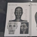 스무살에머물다아산