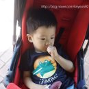 유기농테마파크 생생마켓 이미지