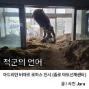 아트선재센터 | 아트선재센터 '적군의 언어' 아포칼립스 전시 후기