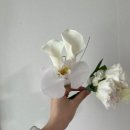 화지몽 | 고속터미널 꽃시장 부케 무조건 성공하는 꿀팁, 견적공유(쥬리원예 부케)