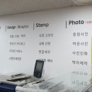 알파카피센터 이미지