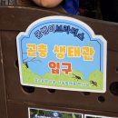 분도농장 | 인천실내데이트 굼벵이브라더스 아이랑 가기 주말에 가기 좋은 곳, 곤충체험 농장 후기