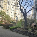 자이부동산합동공인중개사사무소 | 신뢰와 안전의 보장, 권선동권선자이 지역에서 만나는 최고의 부동산 중개 서비스