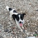 신석농장 이미지