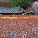 약산가 네이버블로그