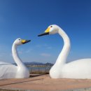 백금포로생태문화협동조합 이미지