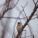 갯골근린공원 이미지