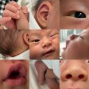 2026.03 오브산후조리원 찐 후기 👶🏻🍼🩵