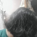 상하수경기장 | 회기, &lt;살롱인숲&gt;에서 매직셋팅한 내돈내산 후기