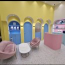 부산강아지분양 퍼피몰리 이미지