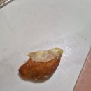 두리안 | 냉동두리안 후기 FRUIT KING