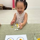 스콜라몬테소리 정자점 다닌 후기