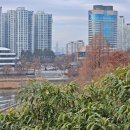 오금공원 이미지